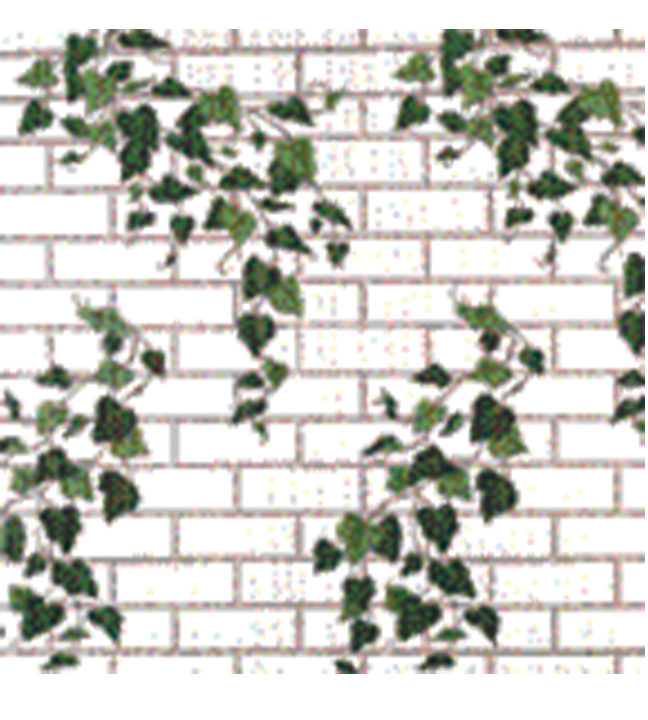 Corobuff White Brick Ivy 25 Ft.L x 48"W